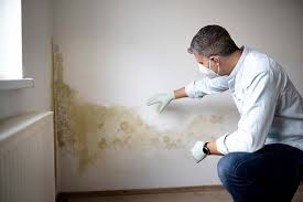 Mold Documentation for Insurance Claims in Ocklawaha, FL